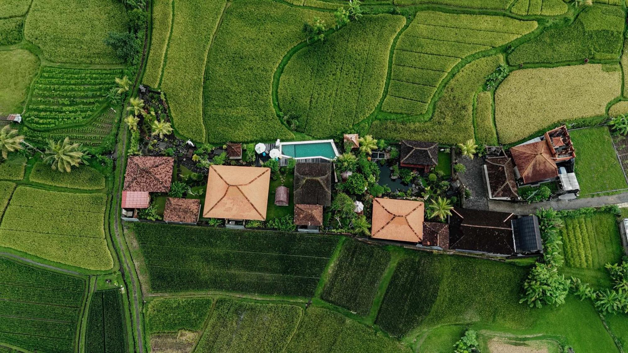 Billys Ayodya Villa Perean Ngoại thất bức ảnh